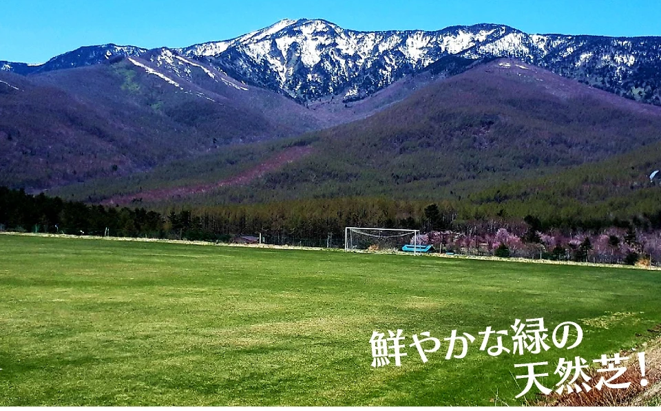 鮮やかな緑の天然のような人口芝！